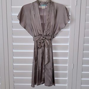 MARCIANO SILK PEWTER DRESS 👗